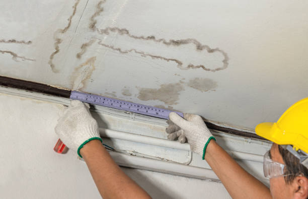 Reliable Ceiling Water Damage Repair contractor in Hickory Corners, MI by Hirex Water Damage